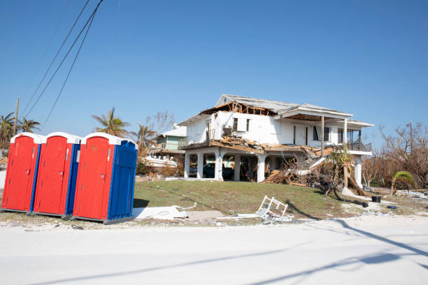 Trusted Monticello, KY Tree Removal Experts